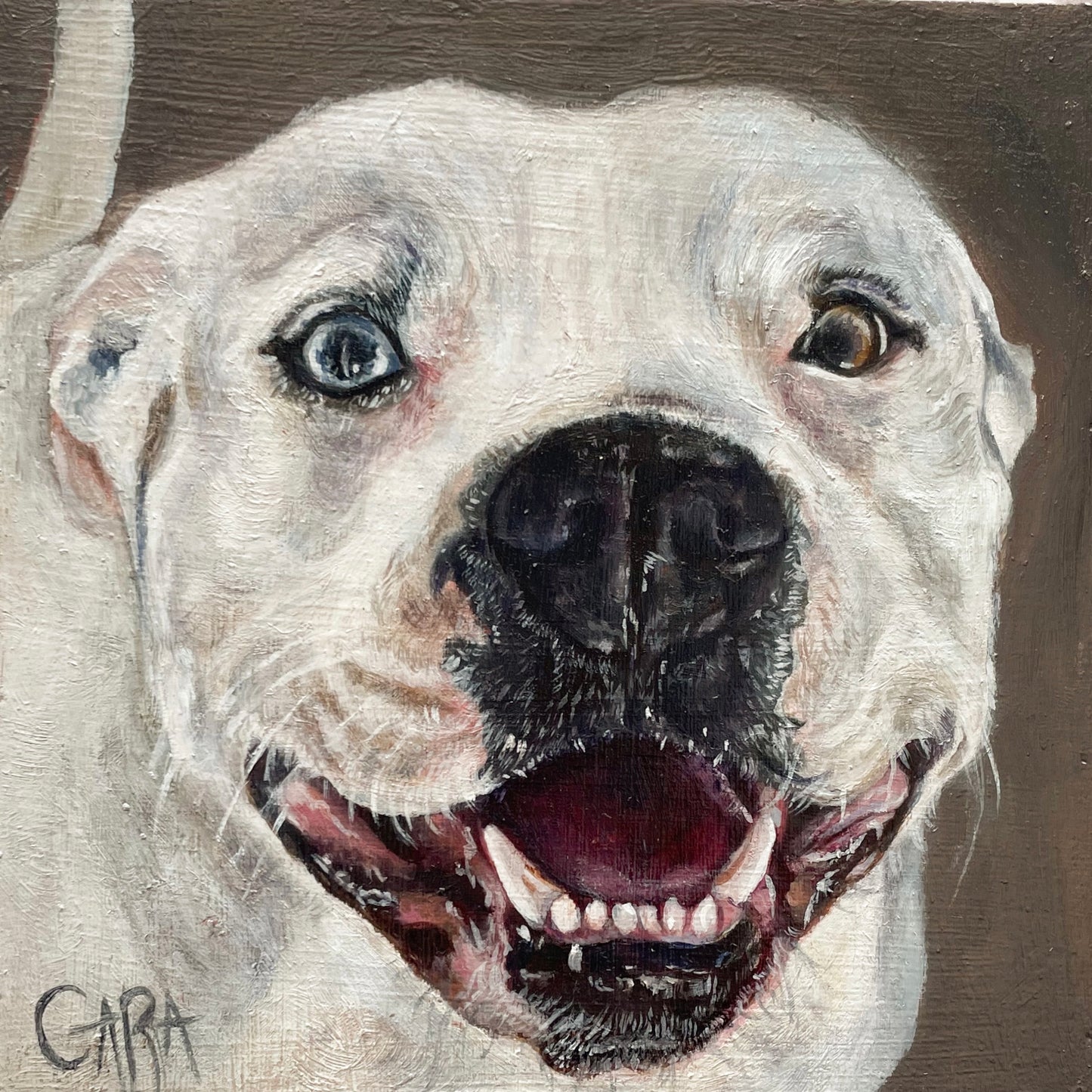 Pet Portrait Commission