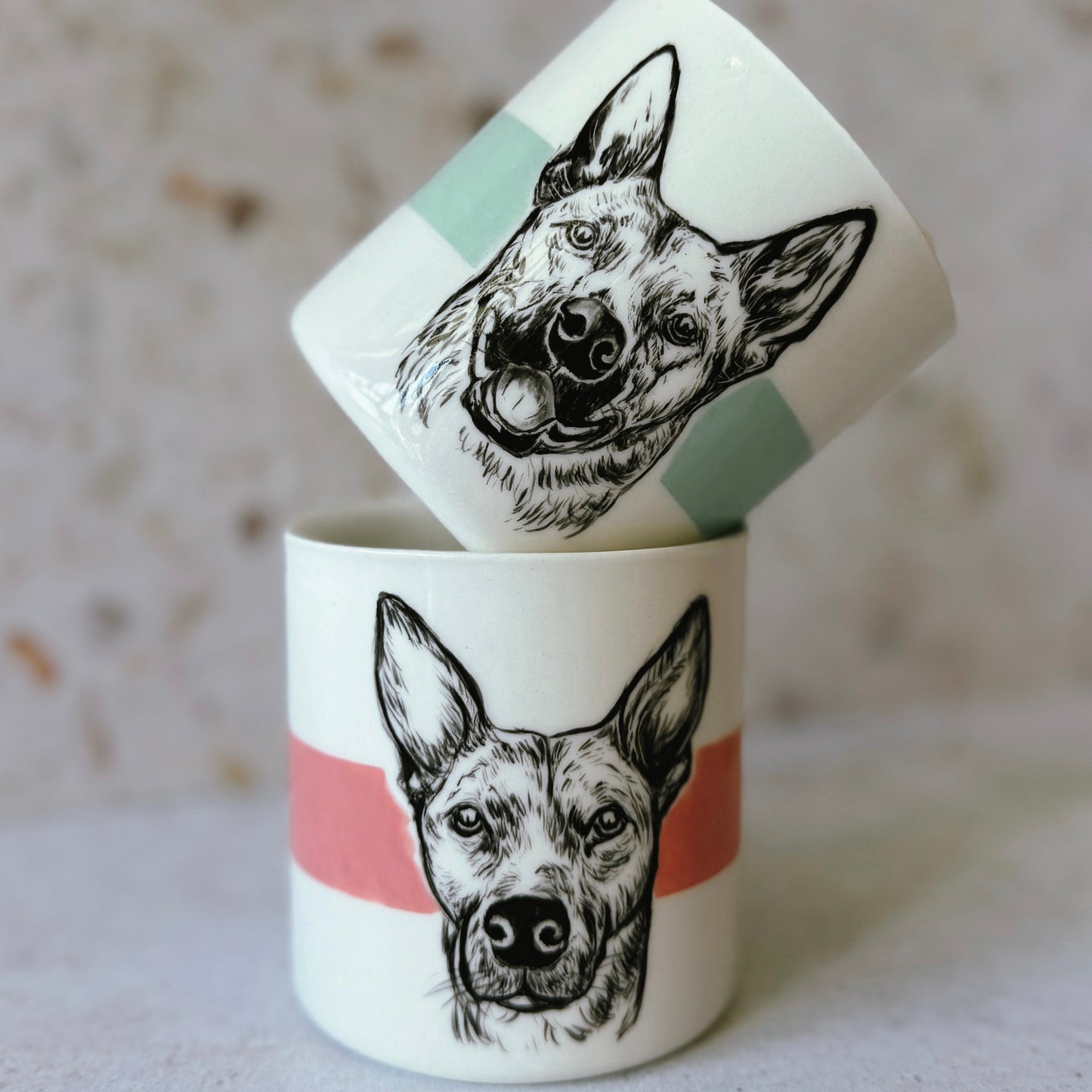 Pet Portrait Mug