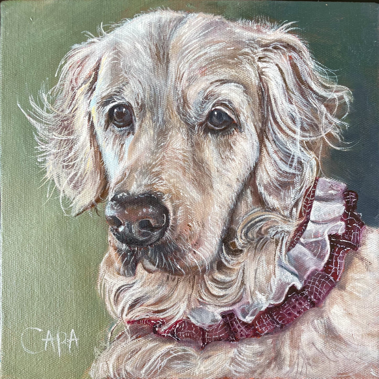 Pet Portrait Commission