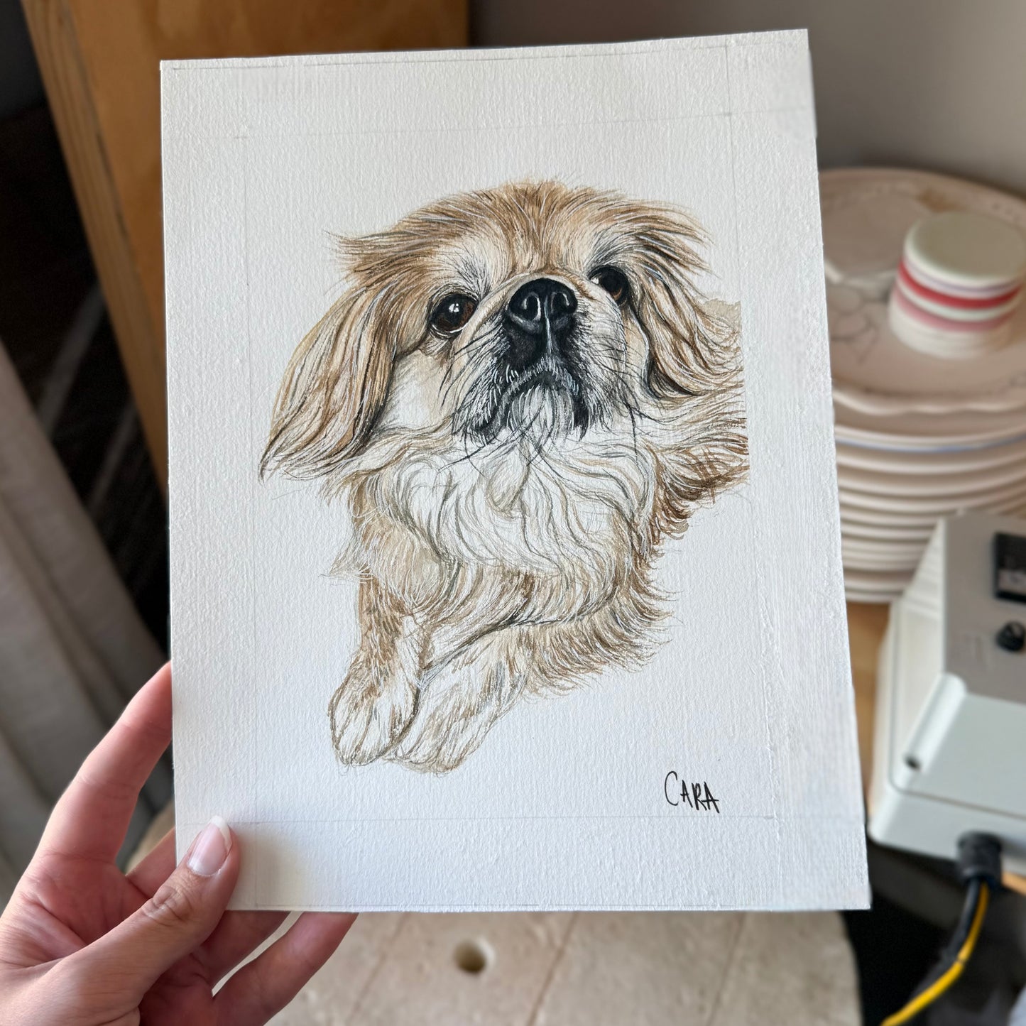 Watercolour Pet Portraits