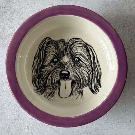 Pet Feeding Bowl