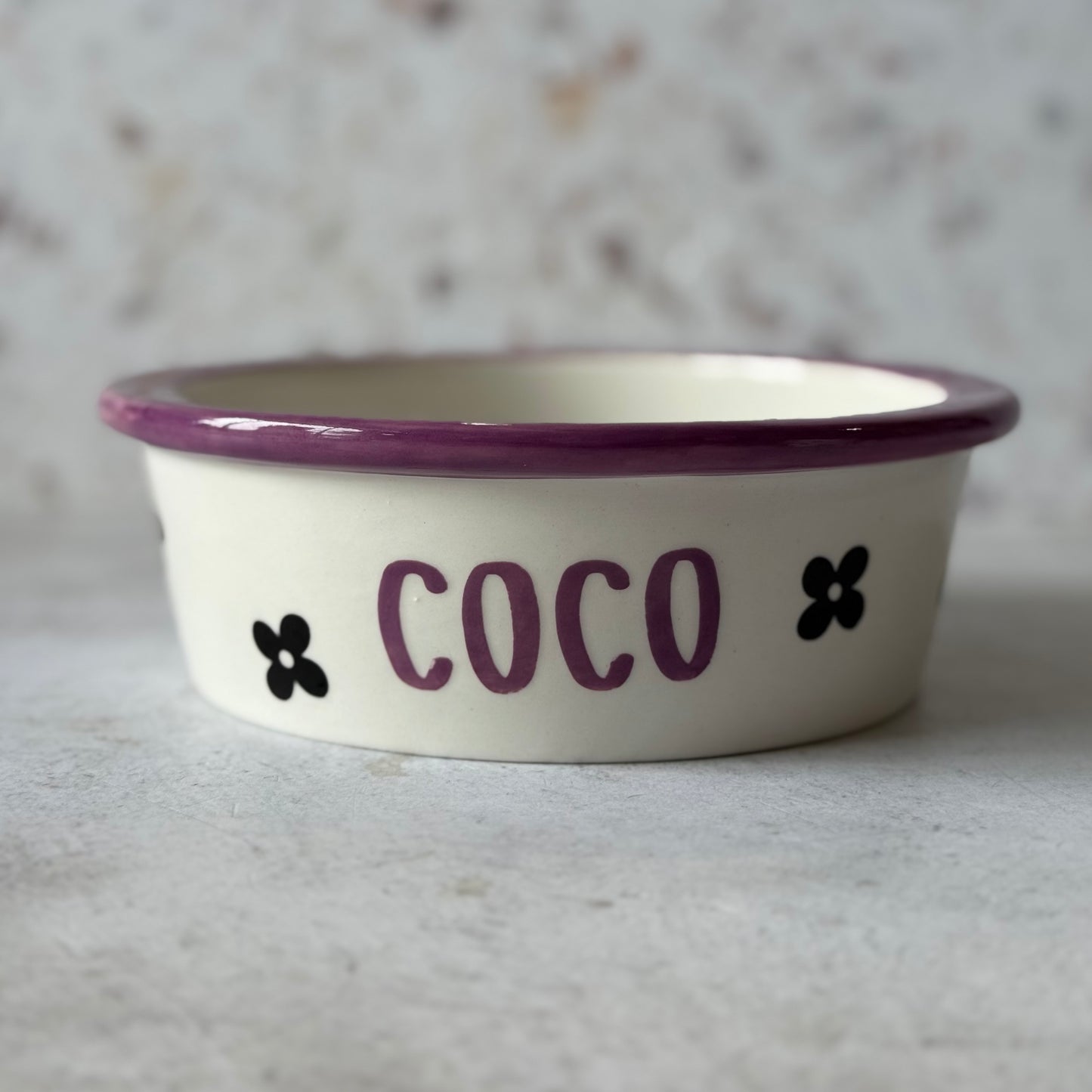 Pet Feeding Bowl