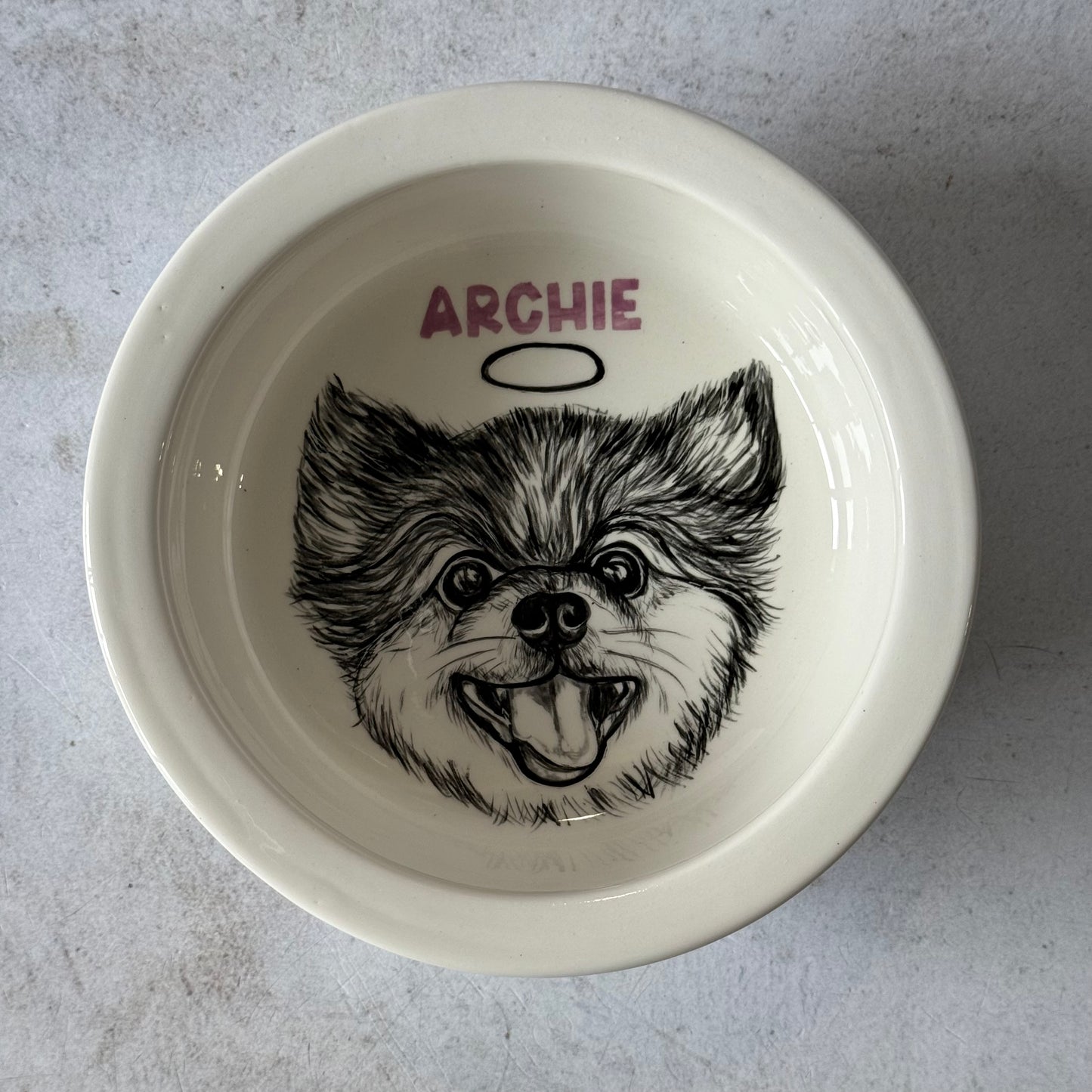 Pet Feeding Bowl