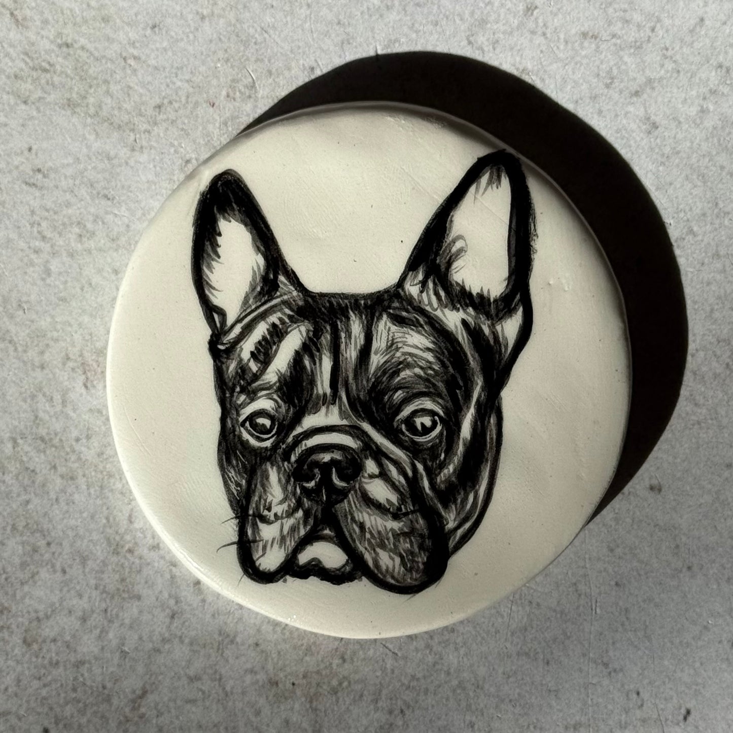 Magnetic Pet Portraits