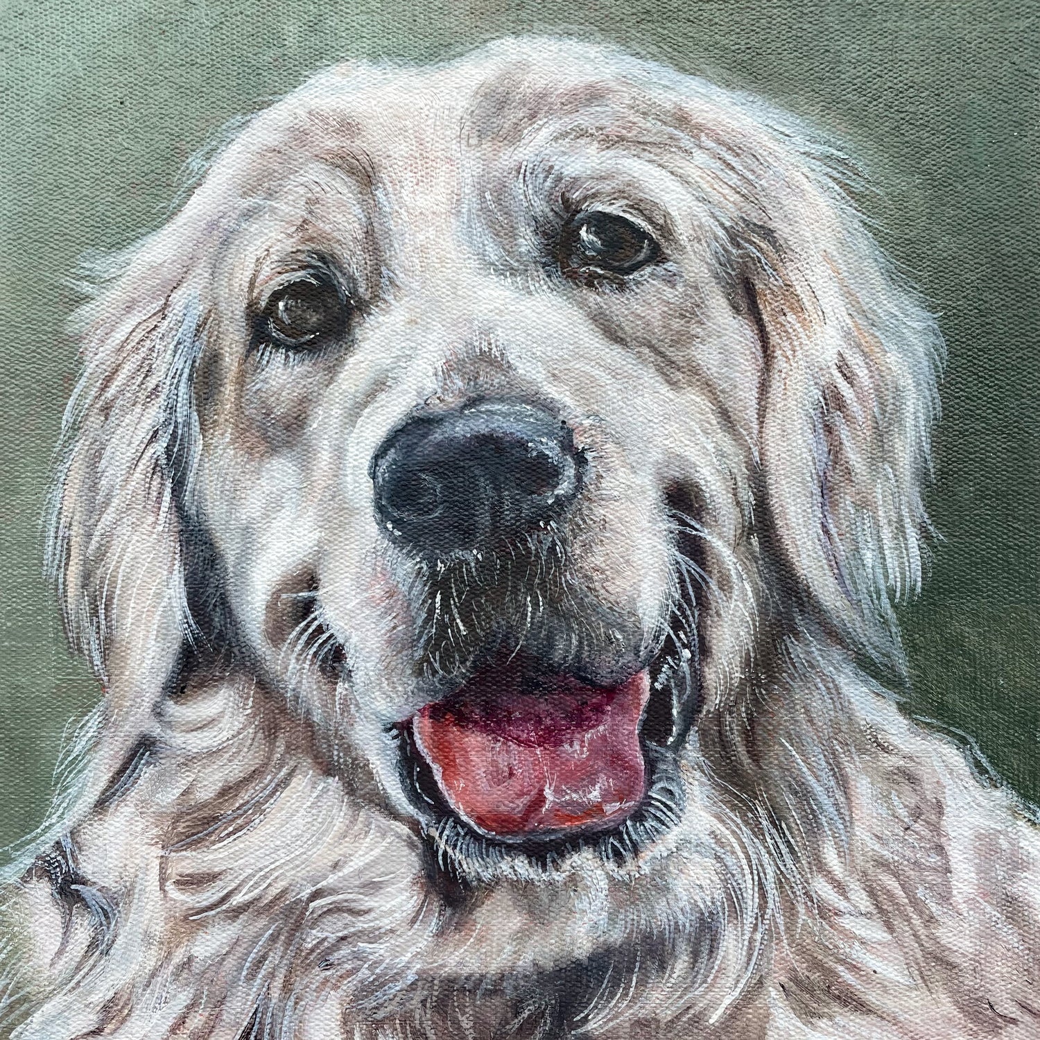 Pet Portrait Commission