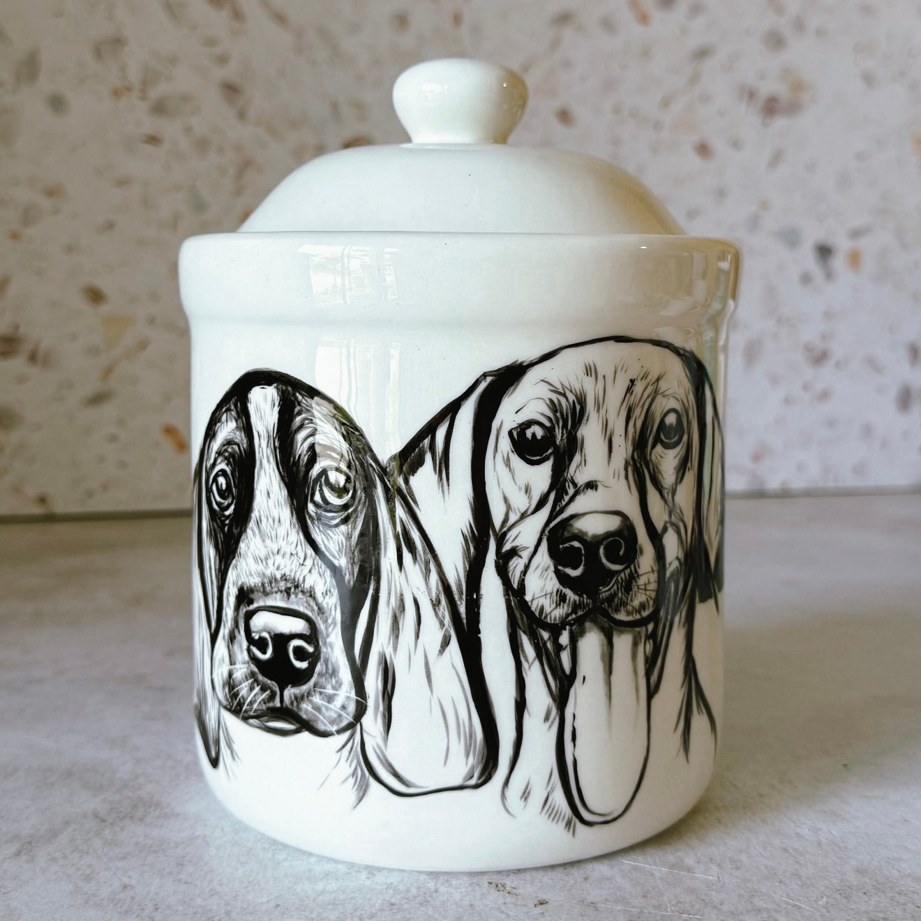Large Pet Treat Jar