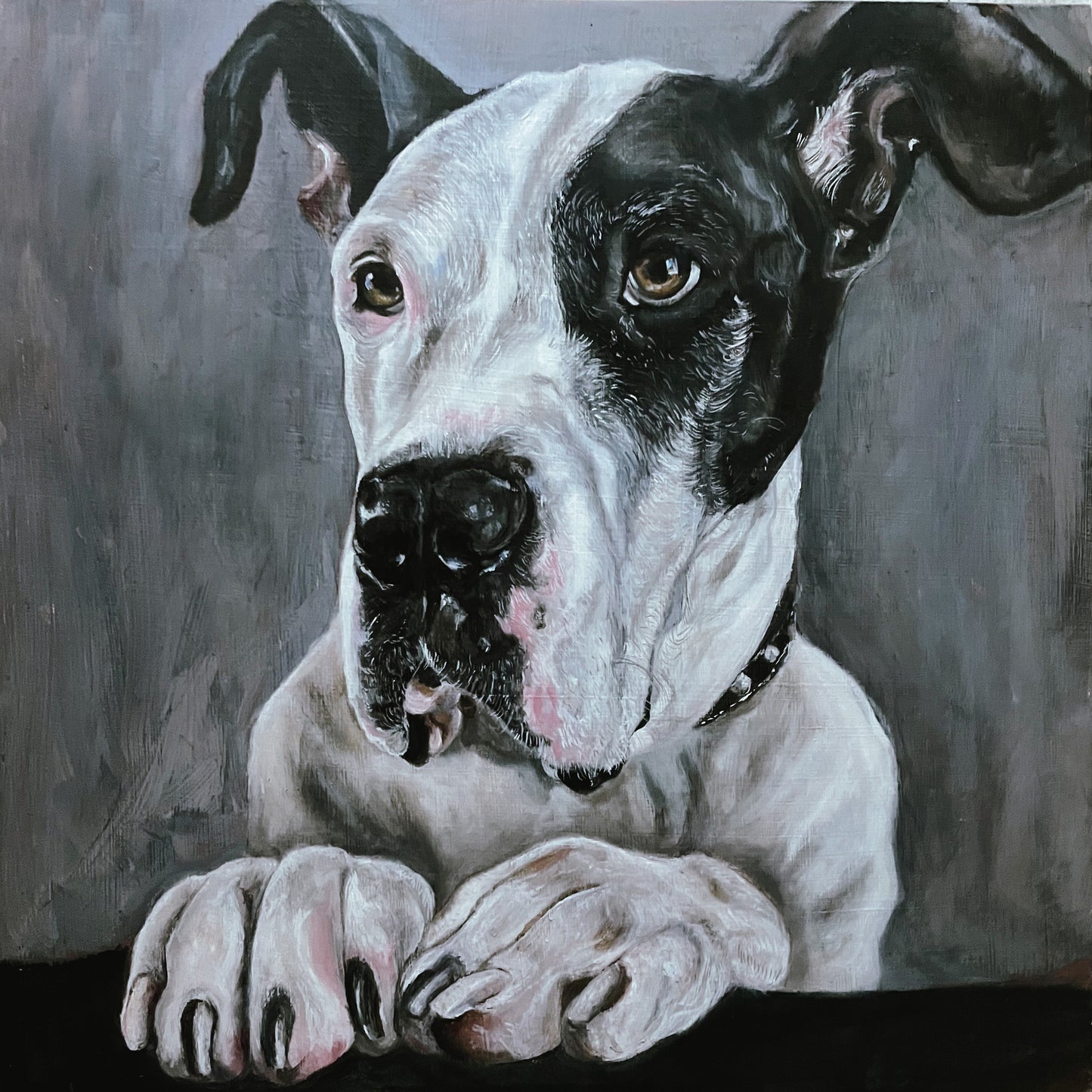 Pet Portrait Commission