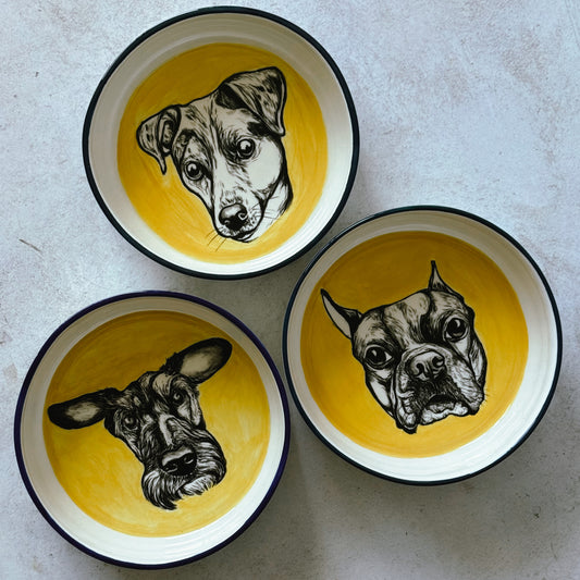Pet Feeding Bowl