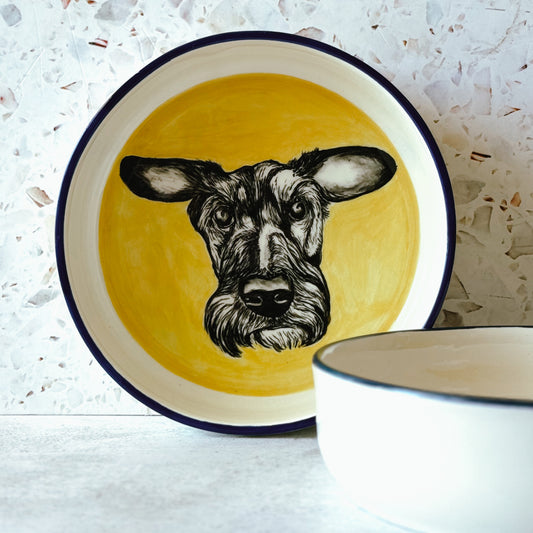 Pet Feeding Bowl