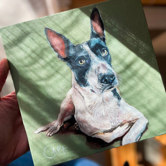 Pet Portrait Commission