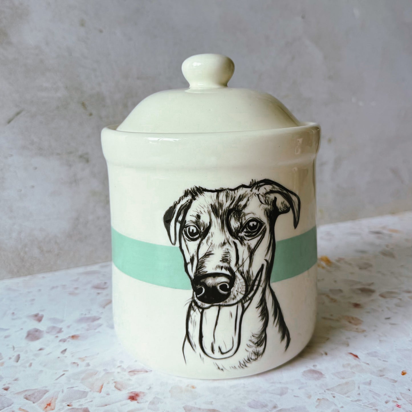 Large Pet Treat Jar