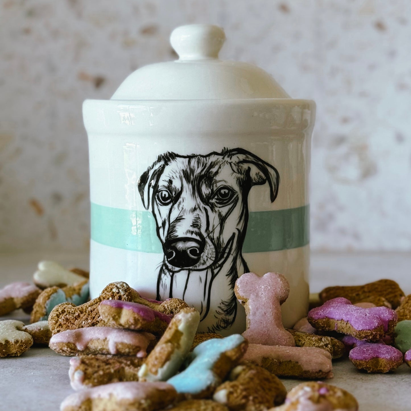 Large Pet Treat Jar