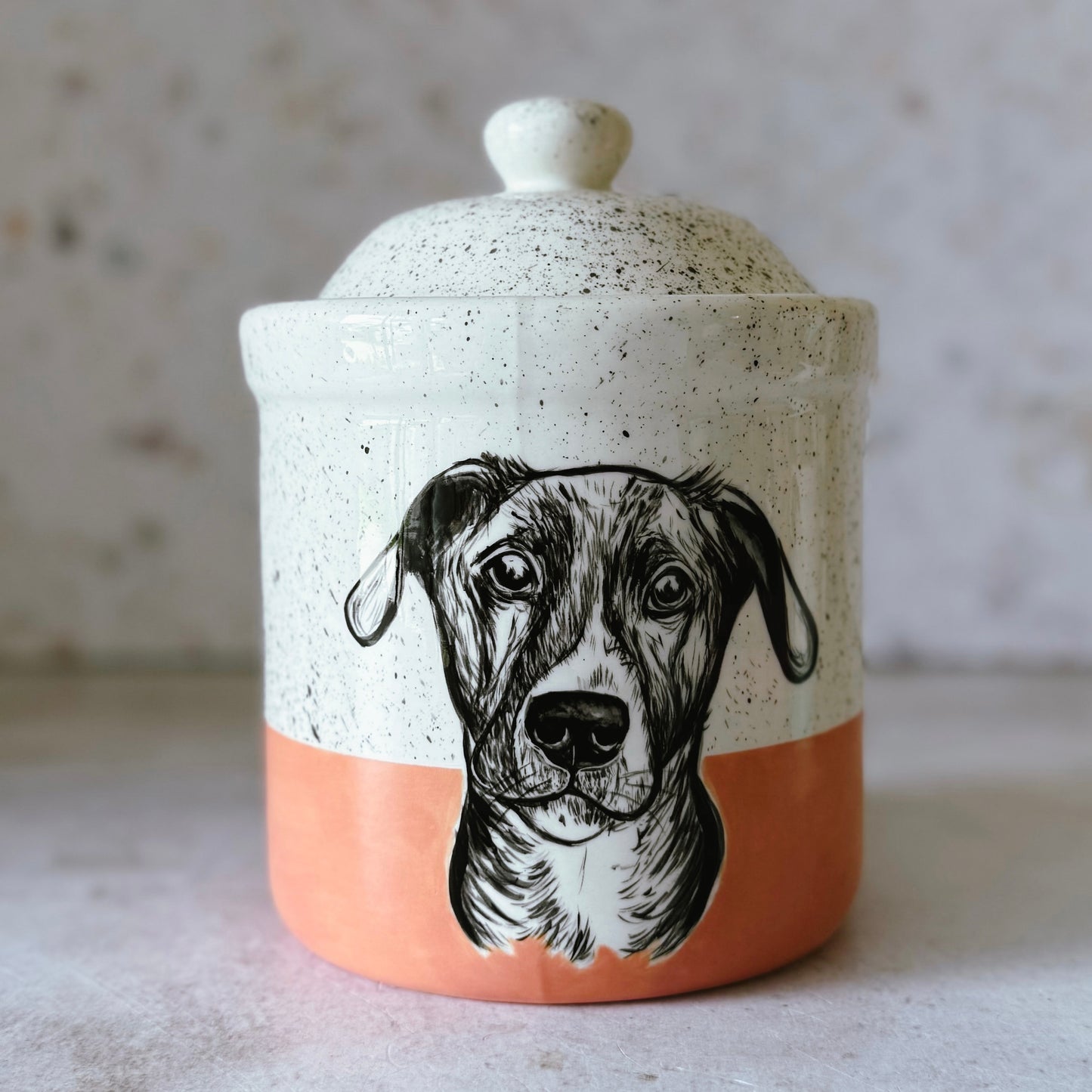 Large Pet Treat Jar