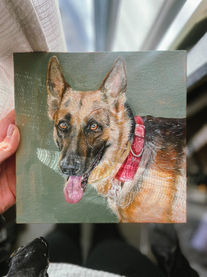 Pet Portrait Commission