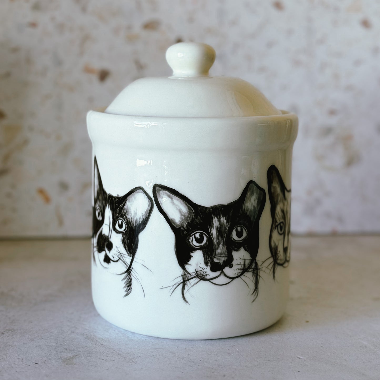 Large Pet Treat Jar