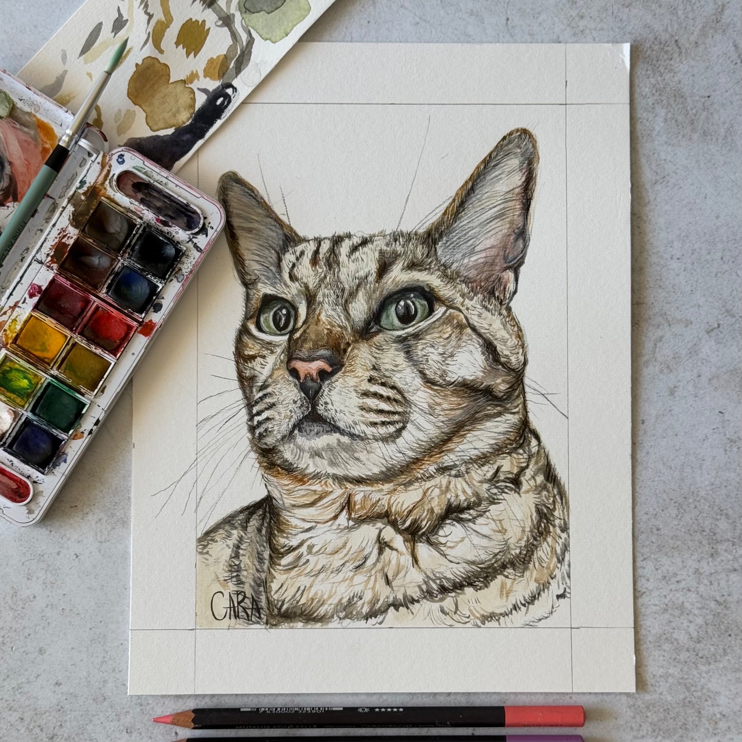 Watercolour Pet Portraits