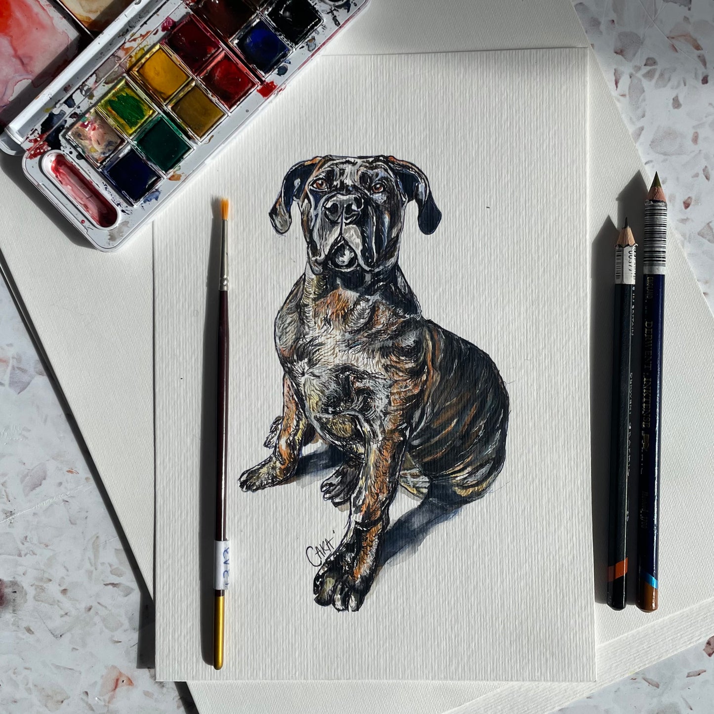 Watercolour Pet Portraits
