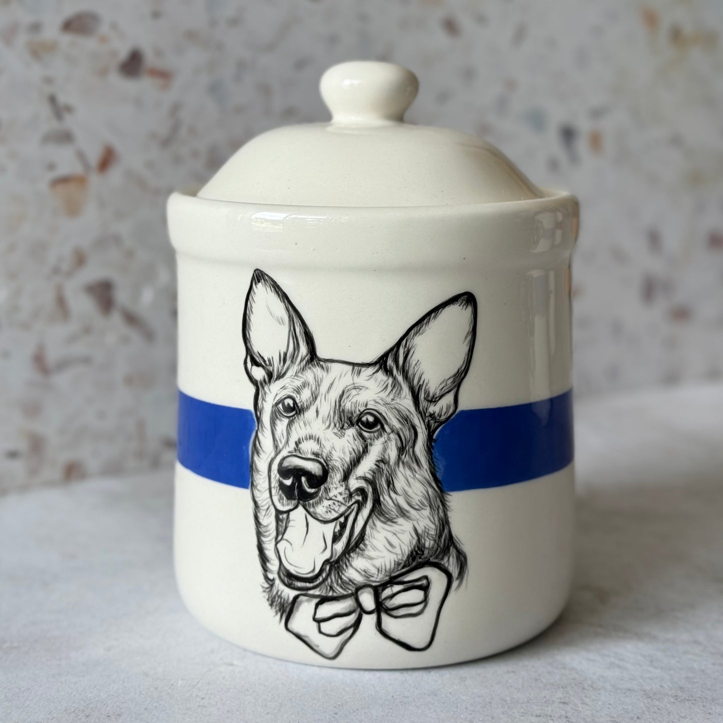 Large Pet Treat Jar