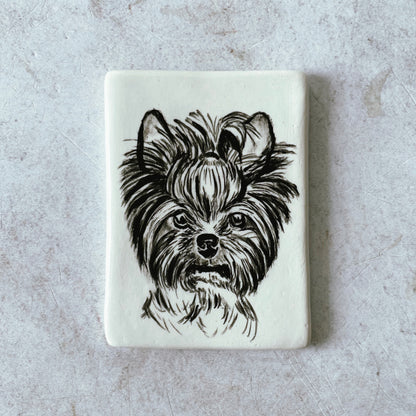 Magnetic Pet Portraits