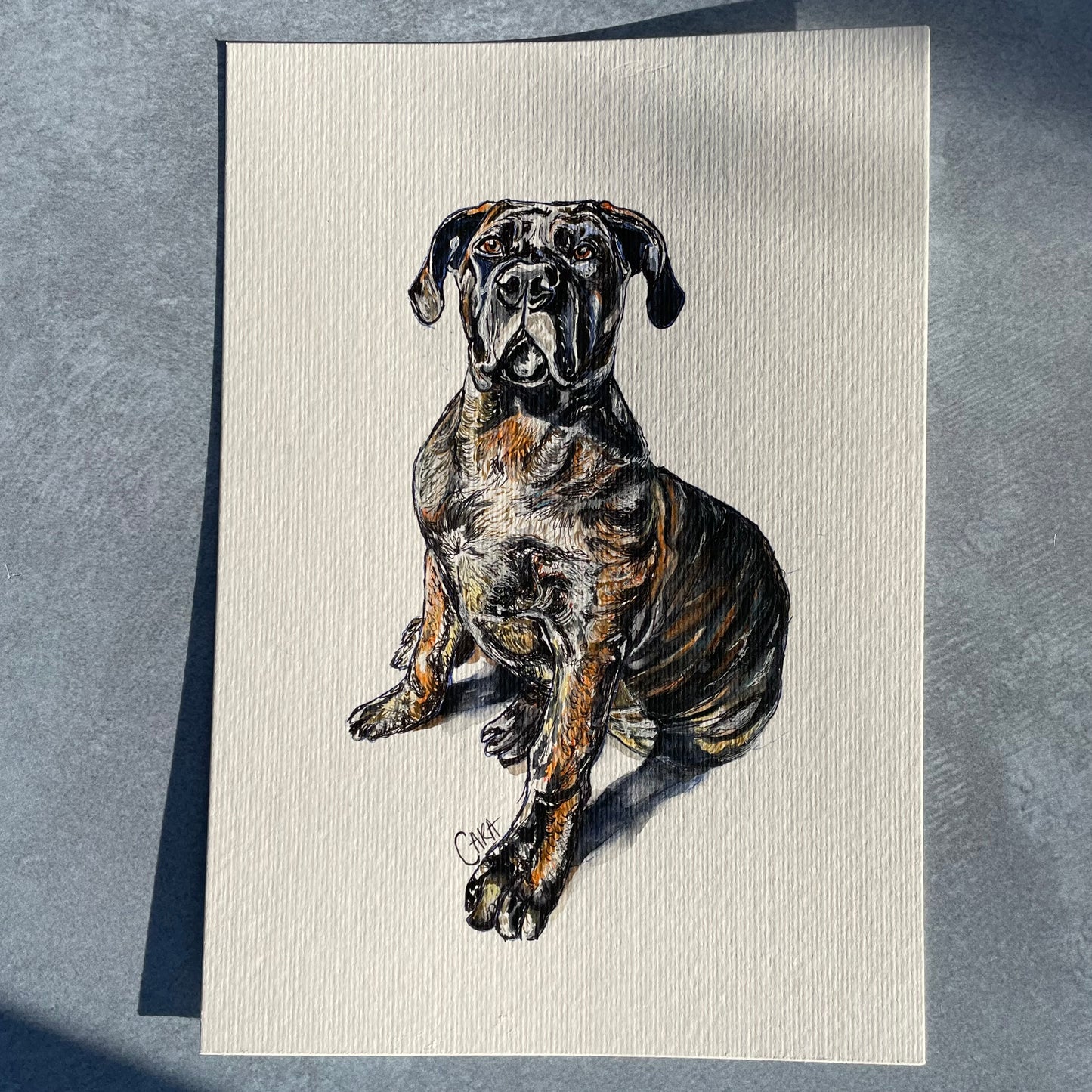Watercolour Pet Portraits