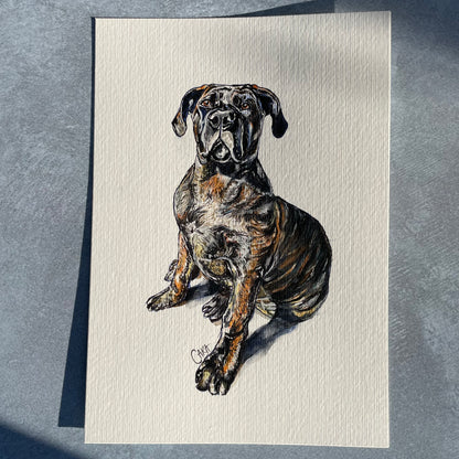 Watercolour Pet Portraits
