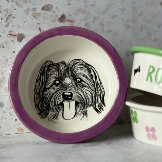 Pet Feeding Bowl