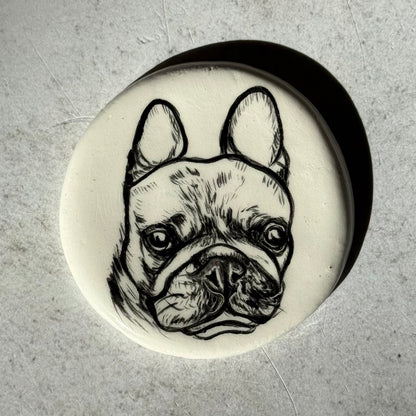 Magnetic Pet Portraits