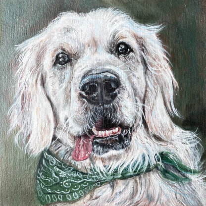 Pet Portrait Commission